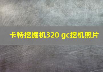 卡特挖掘机320 gc挖机照片